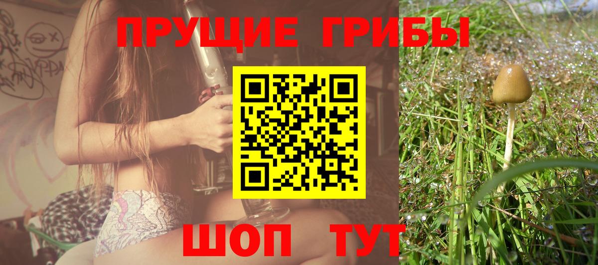 Псилоцибиновые грибы Psilocybine cubensis Джанкой